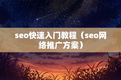 seo快速入门教程（seo网络推广方案）
