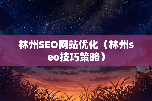 林州SEO网站优化（林州seo技巧策略）