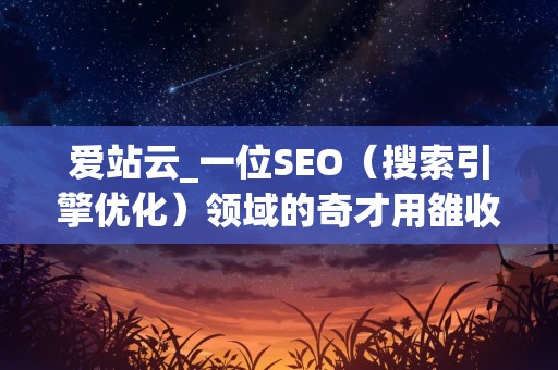 爱站云_一位SEO（搜索引擎优化）领域的奇才用雒收录做seo优化的故事